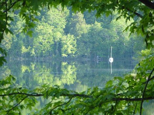 Vue d'un lac à travers les branches en été dans la municipalité d'Amherst, Laurentides