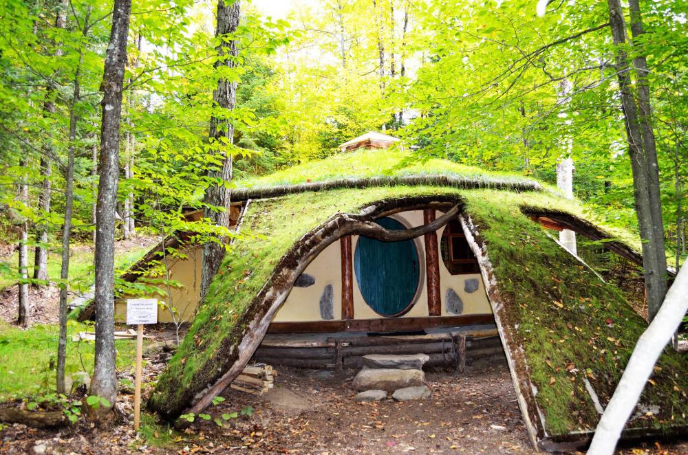 maison de hobbit dans la forêt