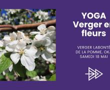 Yoga au verger en fleurs